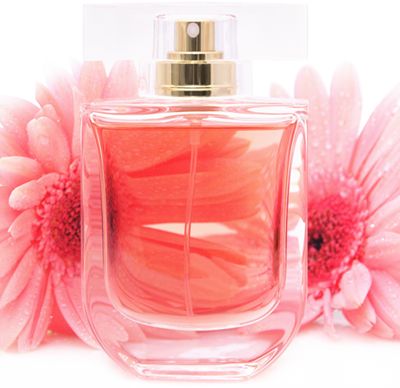Perfume Development