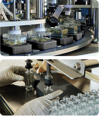 Perfume Manufacturing